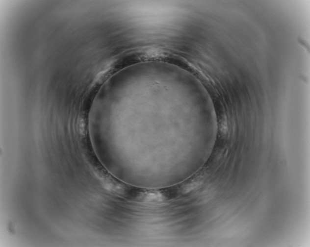 X0000096470715200801241429