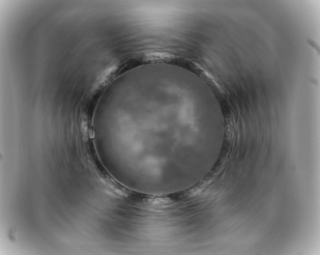 X0000096470716200801241429