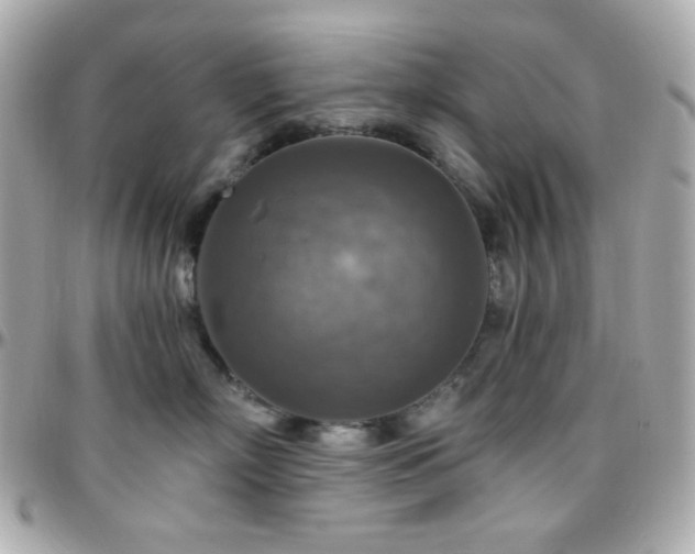 X0000096470718200801241429