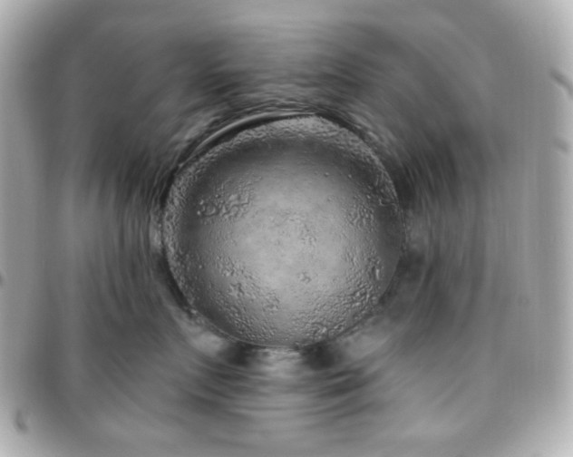 X0000096470719200801241429