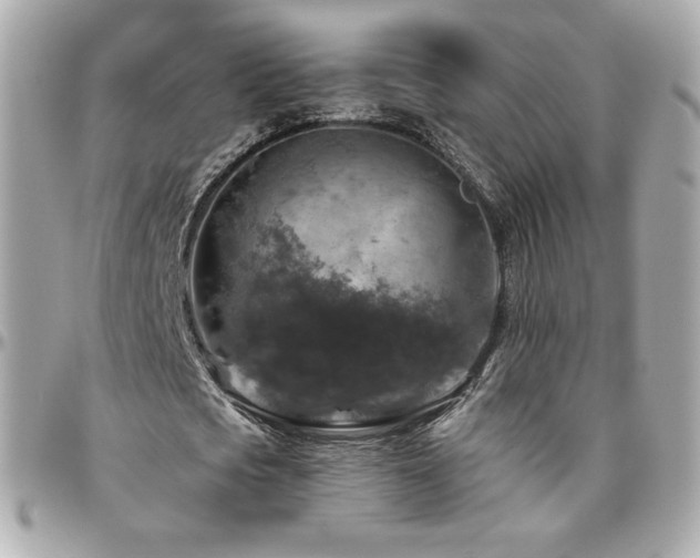 X0000096470721200801241428