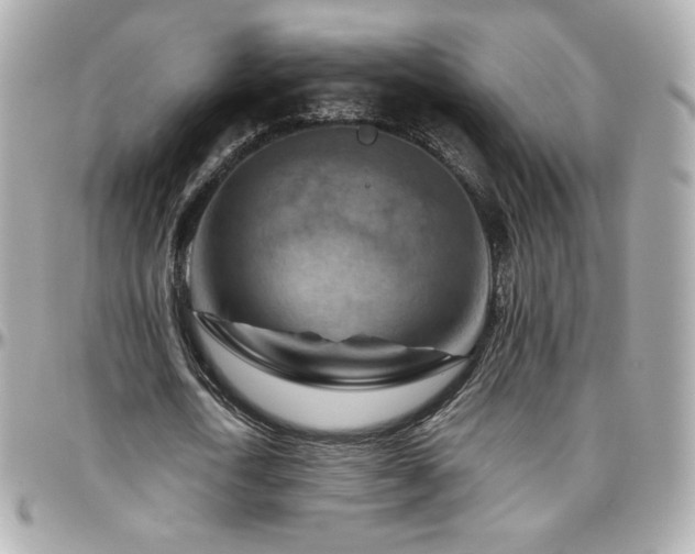 X0000096470722200801241428