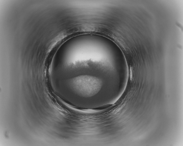 X0000096470723200801241428