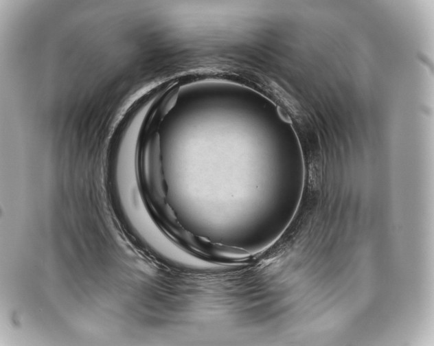 X0000096470724200801241428