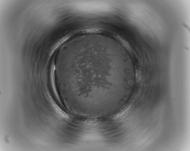 X0000096470725200801241428