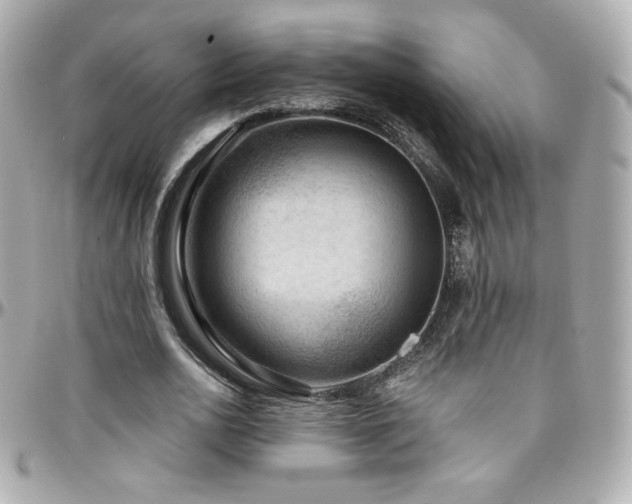 X0000096470726200801241428