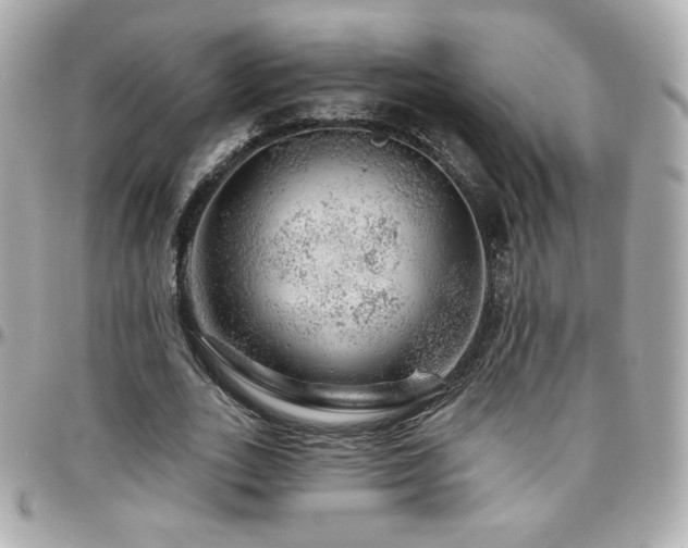 X0000096470727200801241428