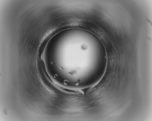 X0000096470728200801241428