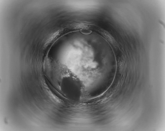 X0000096470729200801241428