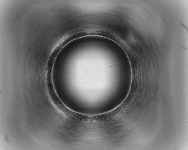 X0000096470730200801241428