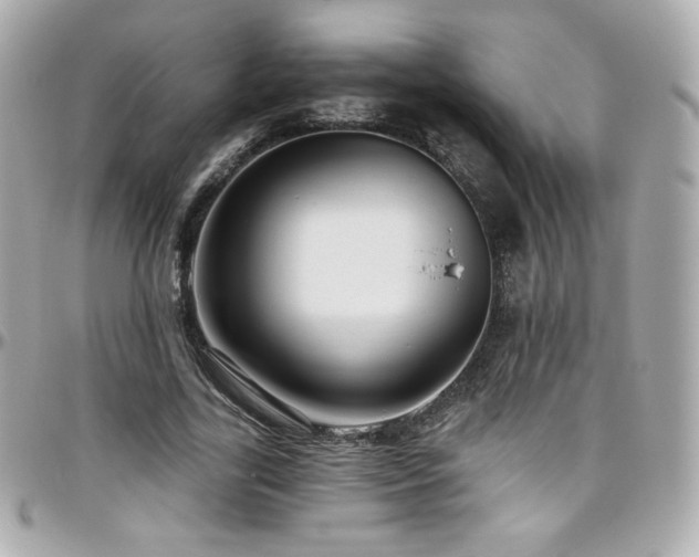 X0000096470731200801241428