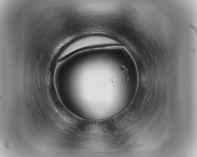 X0000096470732200801241428