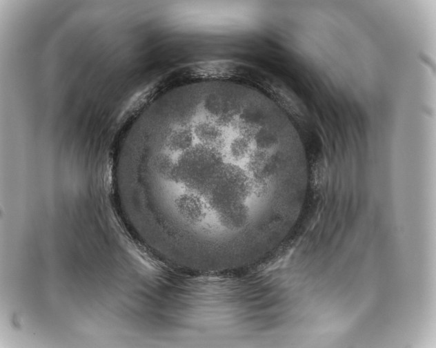 X0000096470733200801241428