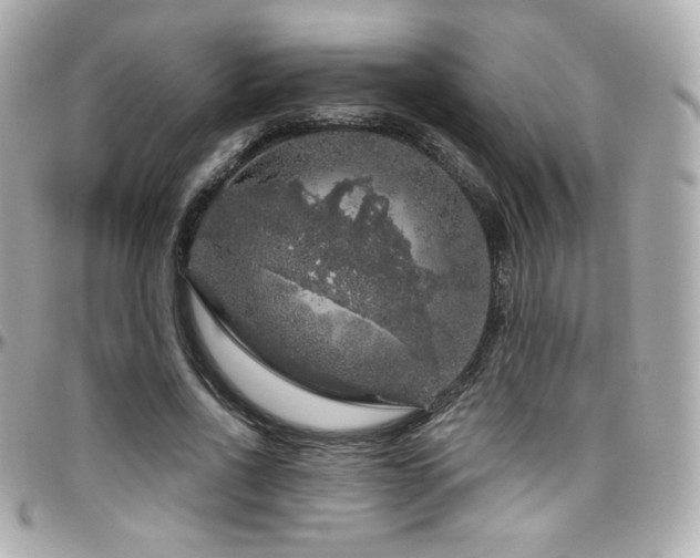 X0000096470734200801241428