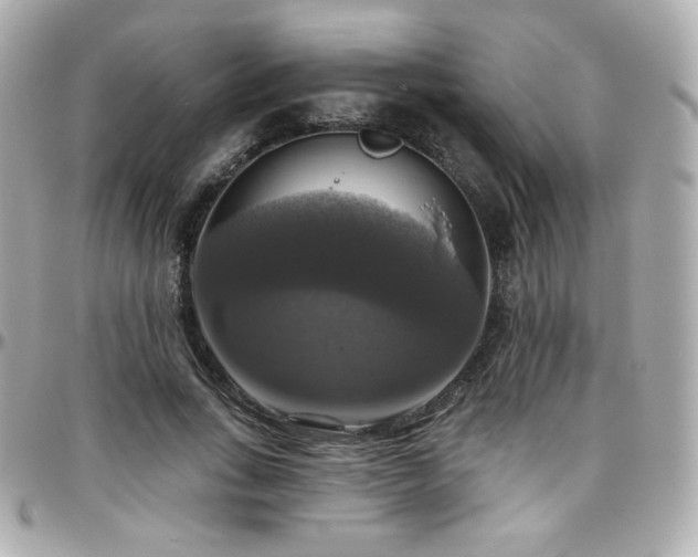 X0000096470735200801241428