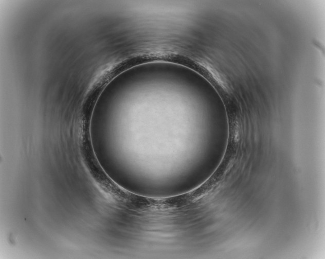 X0000096470736200801241428