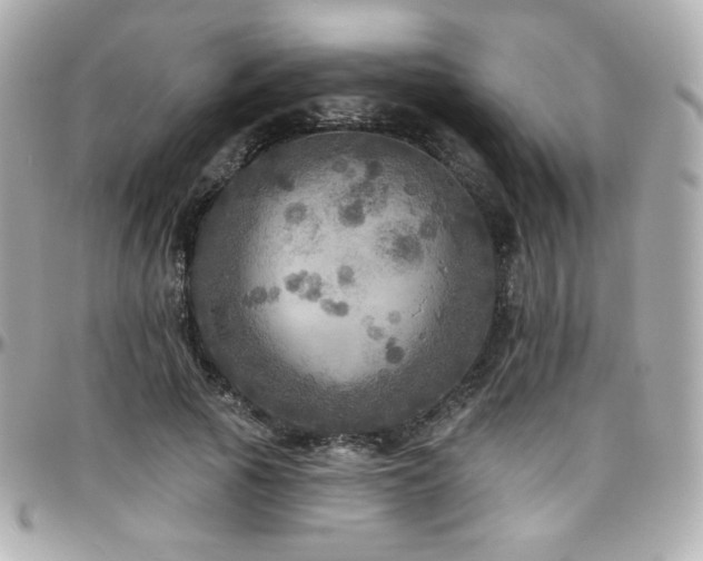 X0000096470737200801241428