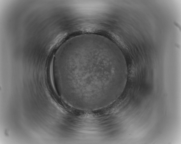 X0000096470738200801241428