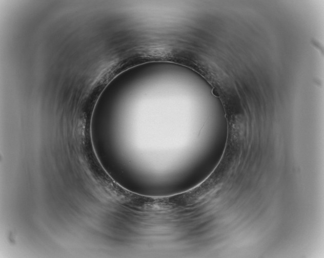 X0000096470739200801241428