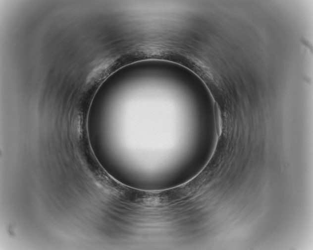 X0000096470740200801241428