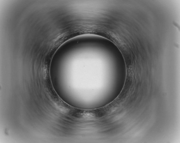 X0000096470741200801241428