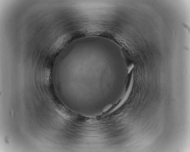 X0000096470742200801241428