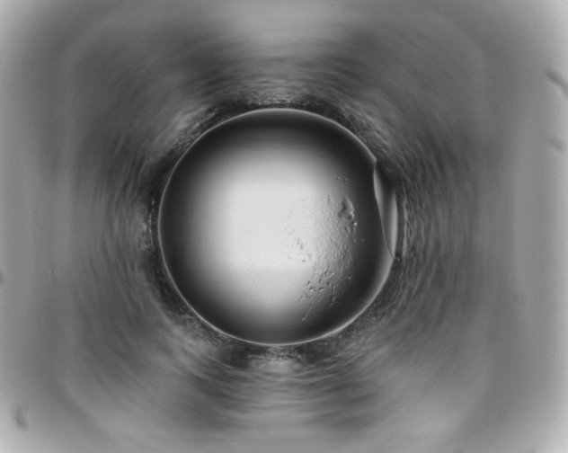 X0000096470743200801241428