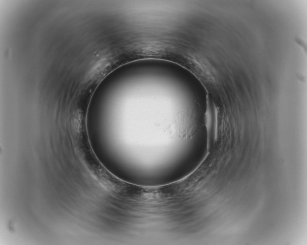 X0000096470744200801241428