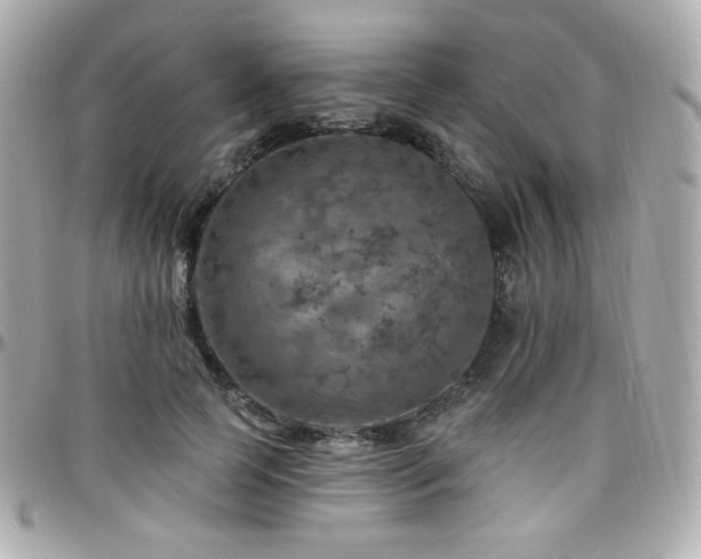 X0000096470745200801241428