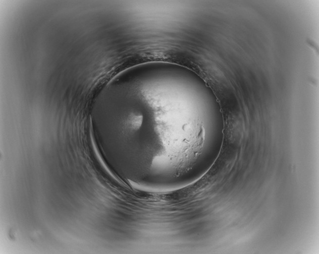 X0000096470747200801241428