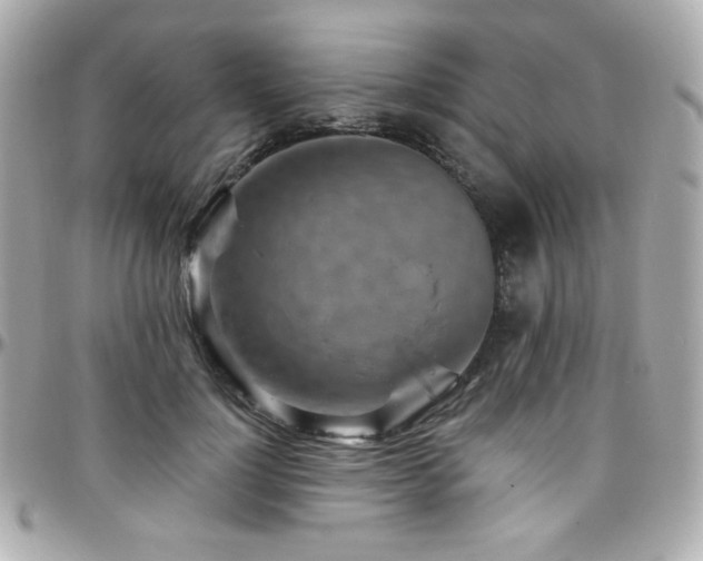 X0000096470748200801241428