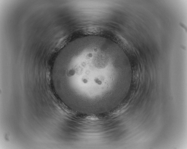 X0000096470749200801241428