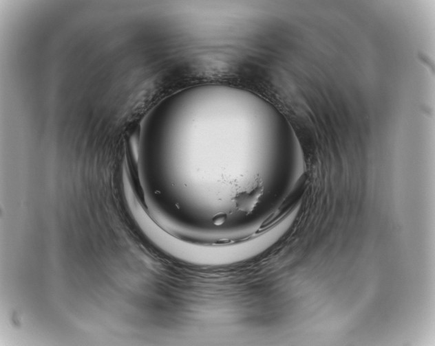 X0000096470750200801241428