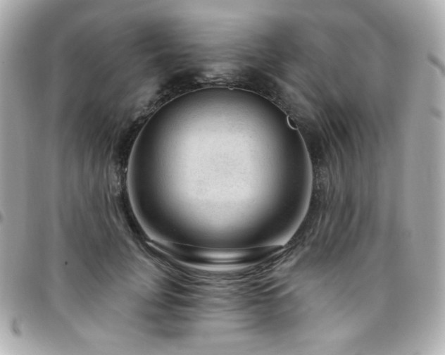 X0000096470751200801241428