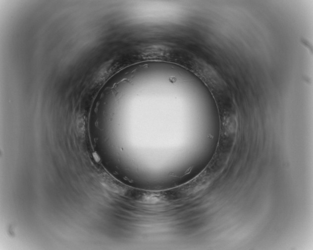 X0000096470753200801241428