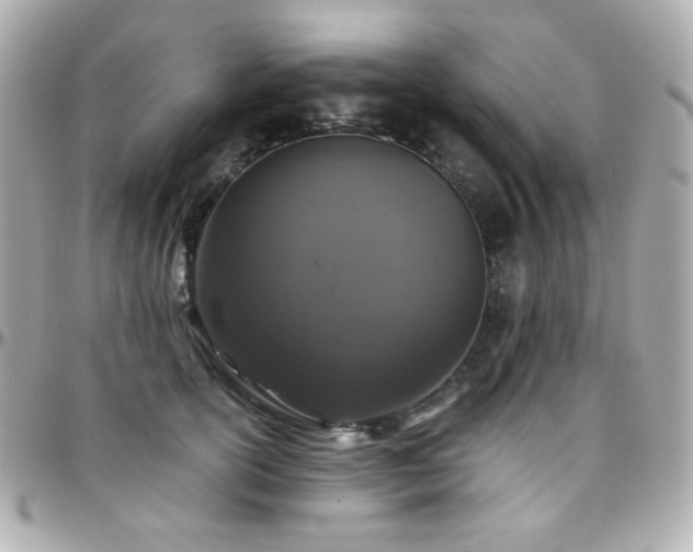 X0000096470754200801241428