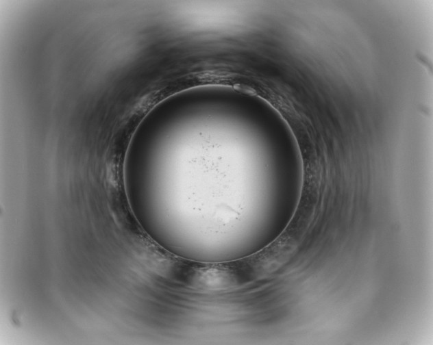 X0000096470755200801241428