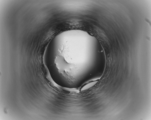 X0000096470756200801241428