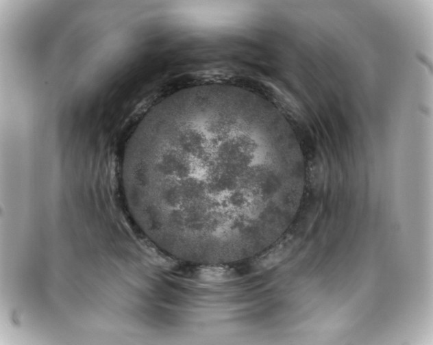 X0000096470757200801241428