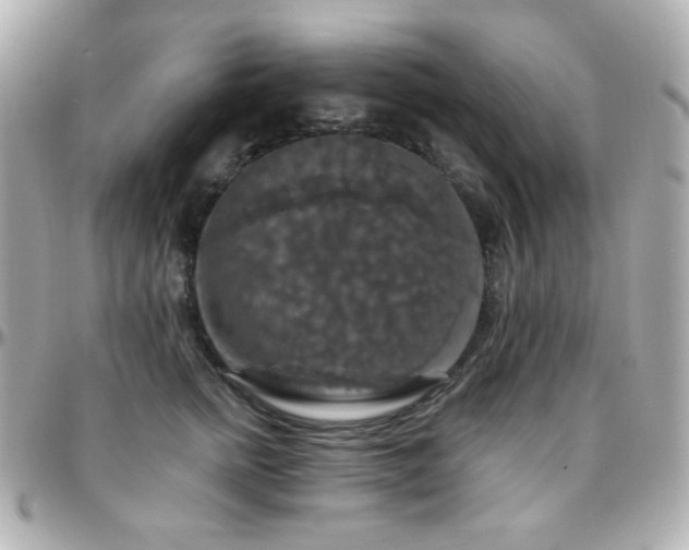 X0000096470758200801241428