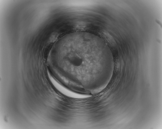 X0000096470759200801241428