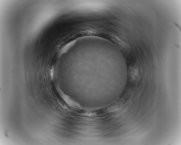 X0000096470760200801241428