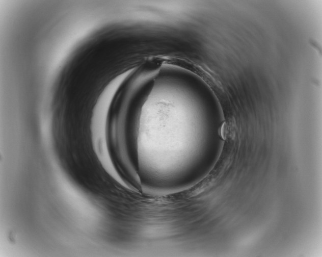 X0000096470763200801241428