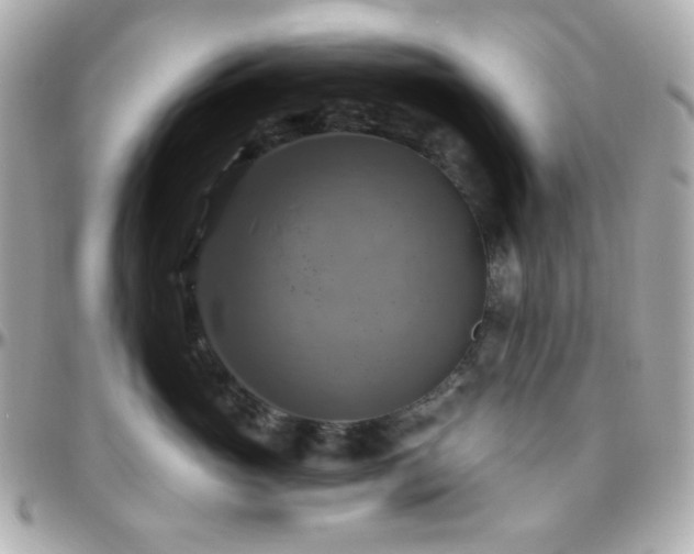 X0000096470765200801241428