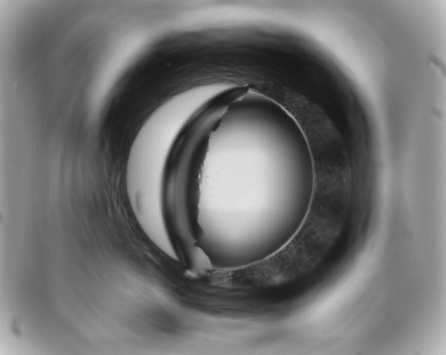 X0000096470766200801241429