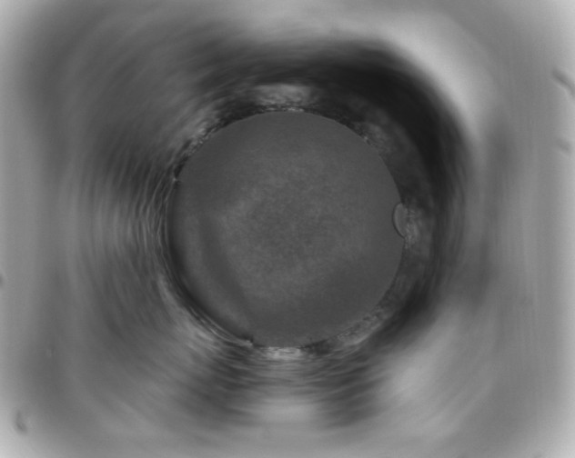 X0000096470767200801241429