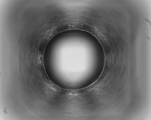 X0000096470770200801241428