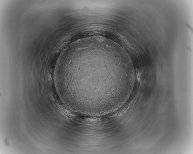 X0000096470771200801241428