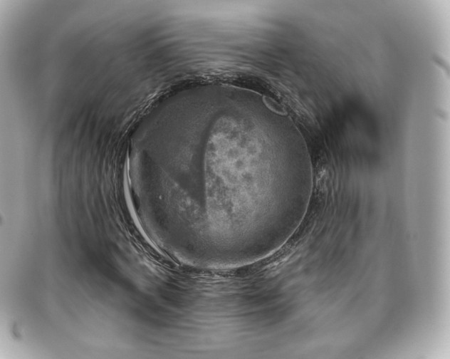 X0000096470772200801241428