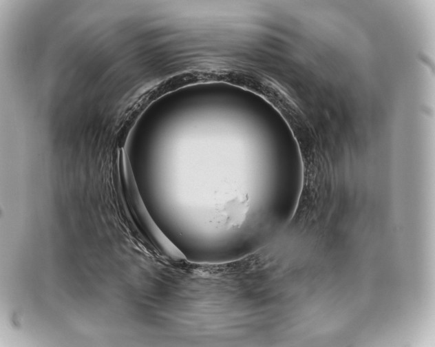 X0000096470773200801241428